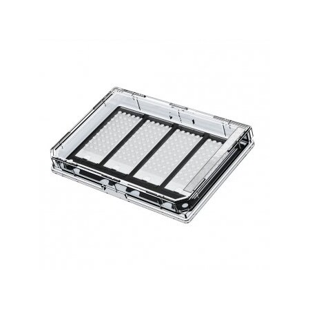 Grace Bio-Labs Chambered Coverslip Inserts, 50 Wells, 3mm, 10/pkg, 10 Cases/pkg, 100PK 244150